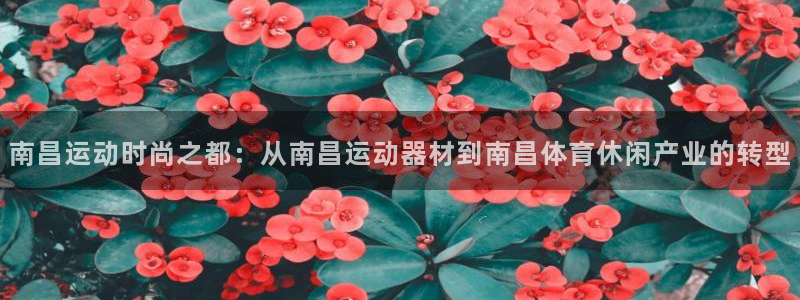 意昂体育4招商电话是多少号码：南昌运动时尚之都：从南昌运动器