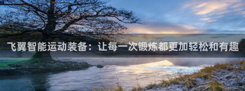 意昂4新能源：飞翼智能运动装备：让每一次锻炼都更加轻松和有趣