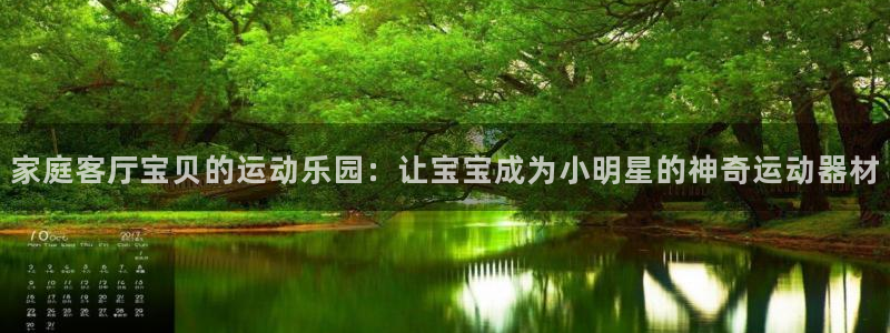 意昂4集团官网网址：家庭客厅宝贝的运动乐园：让宝宝成为小明星