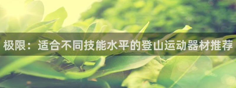 德国意昂4集团：极限：适合不同技能水平的登山运动器材推荐