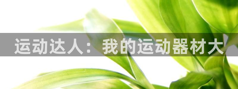 意昂4娱乐是那个系列的台子
