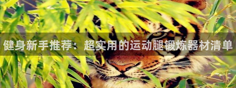 意昂体育4招商电话号码是多少号