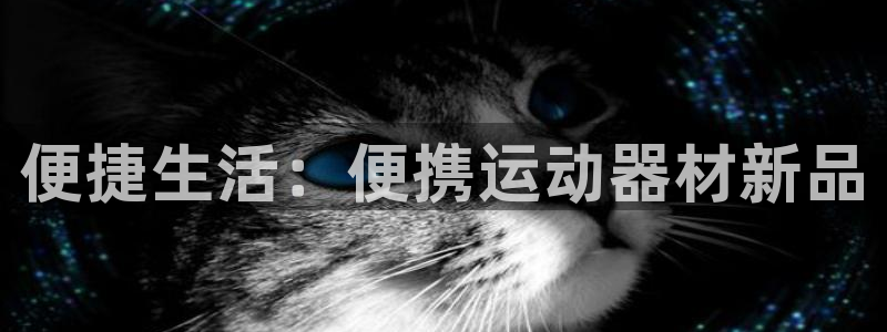 意昂体育4官方客服电话：便捷生活：便携运动器材新品
