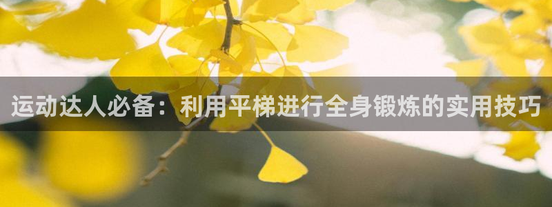 意昂体育4招商电话号码是多少：运动达人必备：利用平梯进行全身