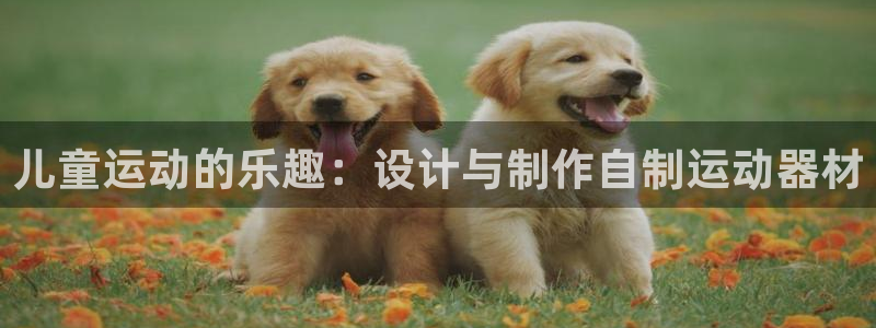 意昂4娱乐下载：儿童运动的乐趣：设计与制作自制运动器材