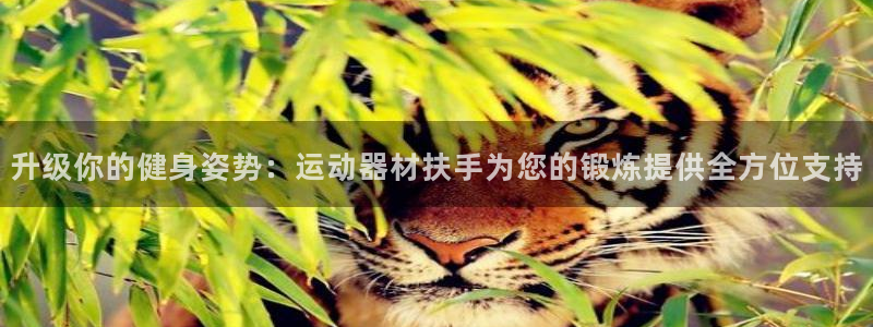 意昂体育4平台注册要钱吗安全吗：升级你的健身姿势：运动器材扶