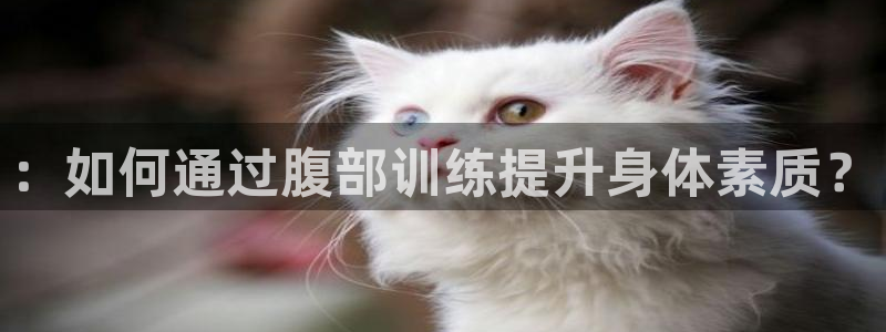 意昂4集团官网首页网址
