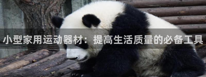 意昂4官方：小型家用运动器材：提高生活质量的必备工具