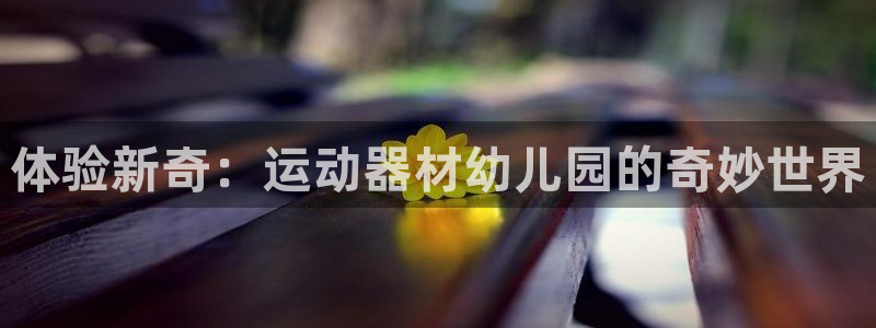 意昂体育4平台注册要钱吗安全吗：体验新奇：运动器材幼儿园的奇