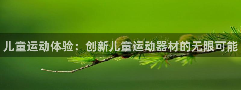 注册意昂4：儿童运动体验：创新儿童运动器材的无限可能