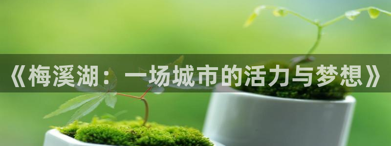 意昂体育4招商电话是多少号码：《梅溪湖：一场城市的活力与梦想