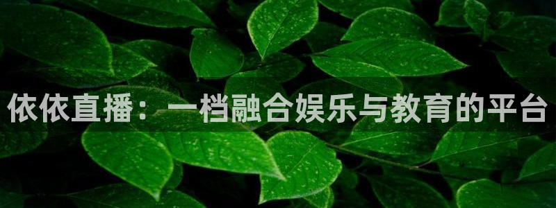 黑白直播在线观看：依依直播：一档融合娱乐与教育的平台