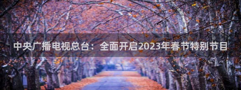 黑白足球比赛直播