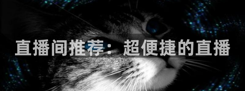 黑白nba免费直播：直播间推荐：超便捷的直播