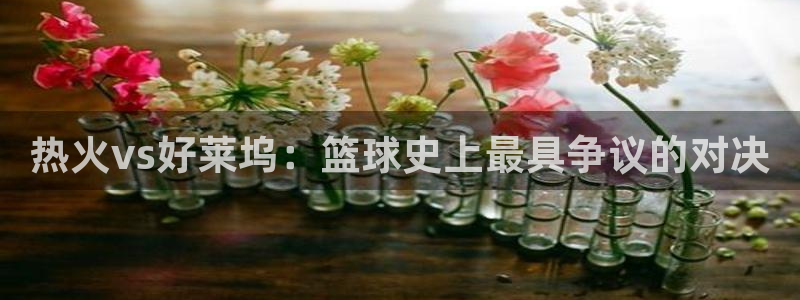 黑白体育在线直播官网：热火vs好莱坞：篮球史上最具争议的对决