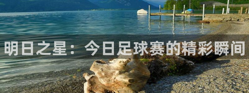 黑白直播体育nba直播下载手机版