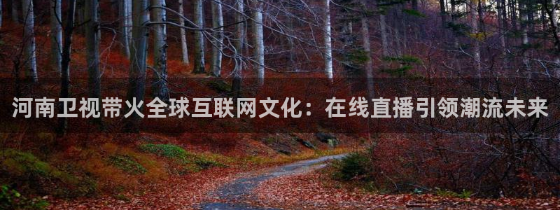 黑白直播体育在线观看：河南卫视带火全球互联网文化：在线直播引领潮流未来