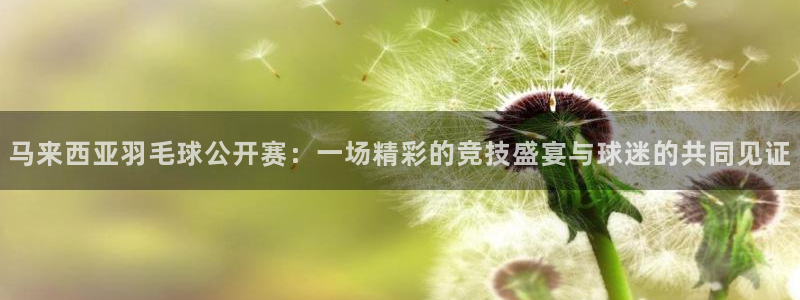黑白直播nba在线播放：马来西亚羽毛球公开赛：一场精彩的竞技盛宴与球迷的共同见证
