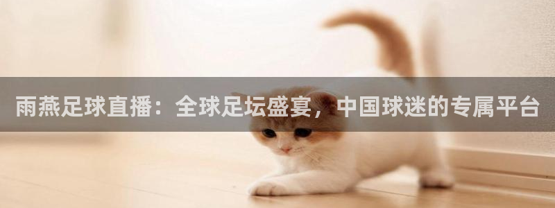 nba免费黑白直播：雨燕足球直播：全球足坛盛宴，中国球迷的专属平台