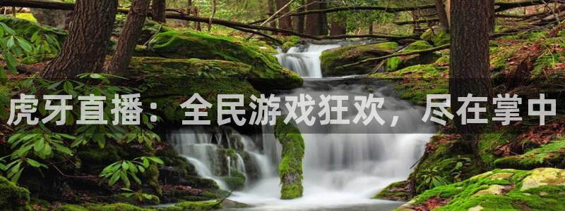 黑白直播免费直播nba：虎牙直播：全民游戏狂欢，尽在掌中