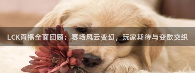 黑白体育直播jrs：LCK直播全面回顾：赛场风云变幻，玩家期待与变数交织