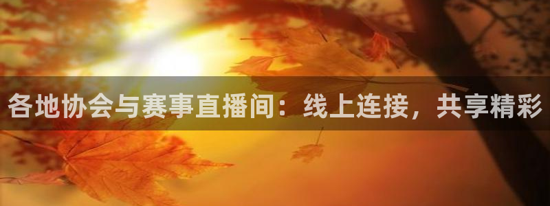 黑白直播足球直播免费观看：各地协会与赛事直播间：线上连接，共享精彩