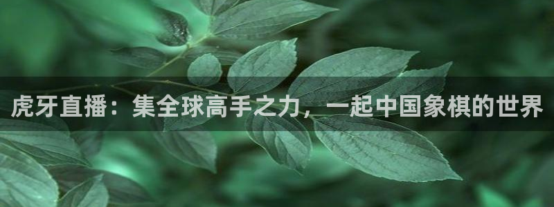黑白直体育直播：虎牙直播：集全球高手之力，一起中国象棋的世界