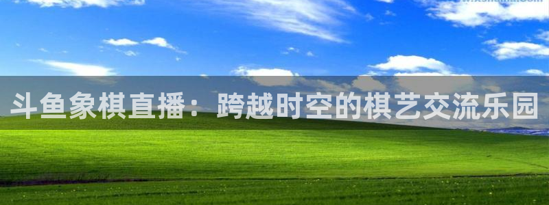 黑白体育nba直播在线观看高清：斗鱼象棋直播：跨越时空的棋艺交流乐园